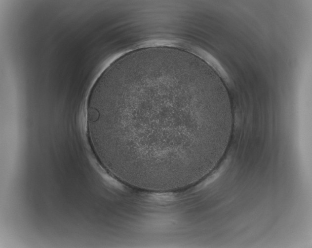 X0000112380844200908201520