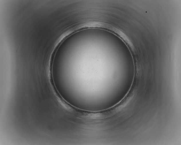 X0000112380845200908201520