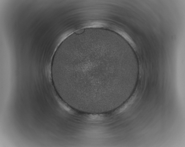 X0000112380850200908201521