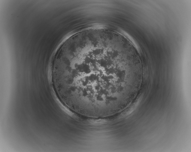 X0000112380851200908201521