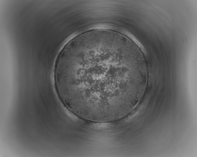 X0000112380853200908201521