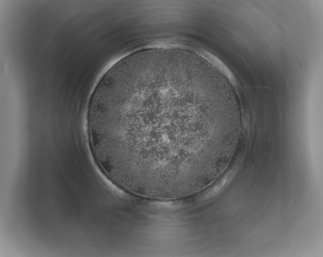 X0000112380855200908201521