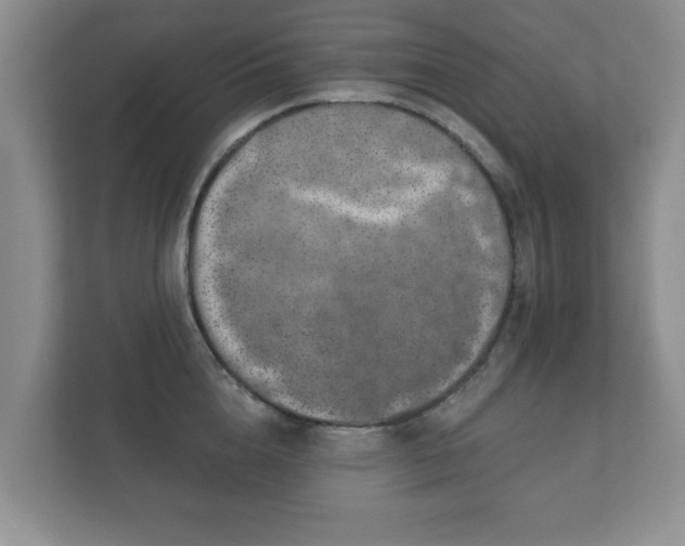 X0000112380856200908201521