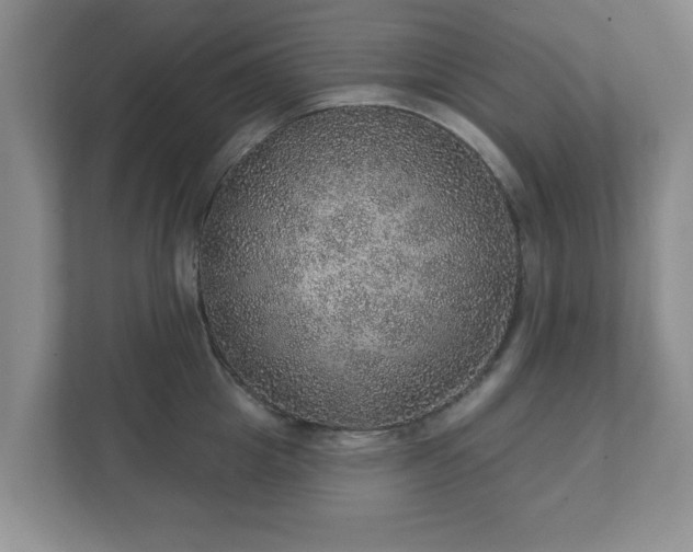 X0000112380857200908201521