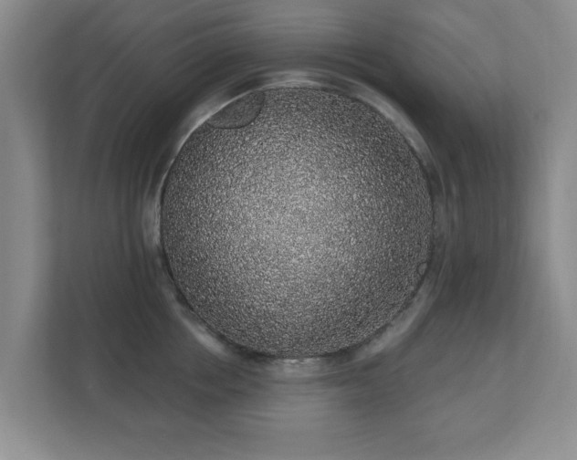 X0000112380858200908201521