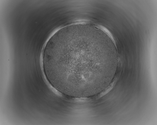 X0000112380859200908201521