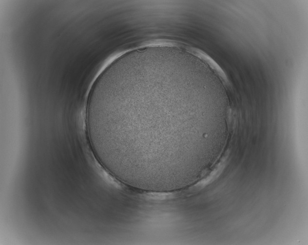 X0000112380860200908201521