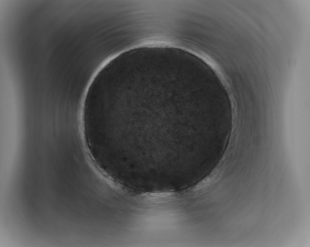 X0000112380864200908201521