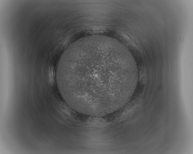 X0000112380866200908201520