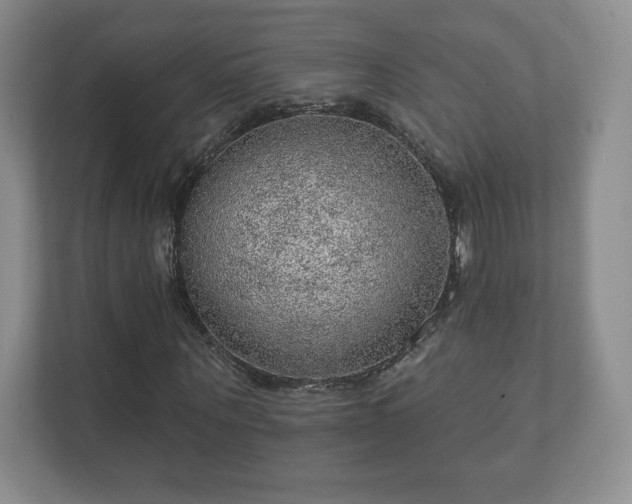 X0000112380867200908201520