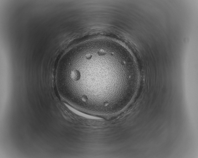 X0000112380868200908201520