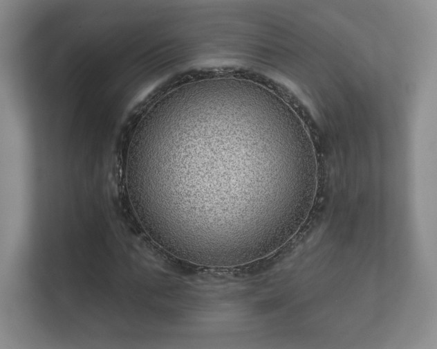 X0000112380871200908201520