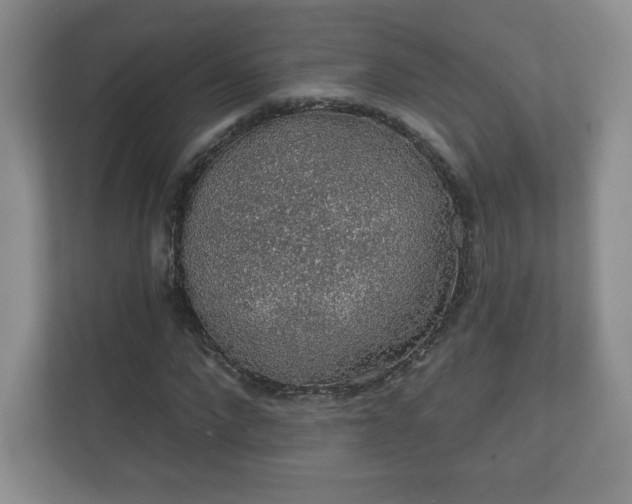 X0000112380872200908201520