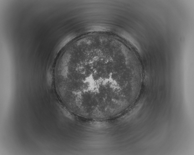 X0000112380874200908201520