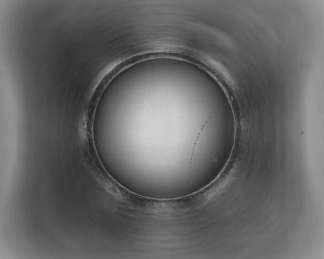 X0000112380875200908201520