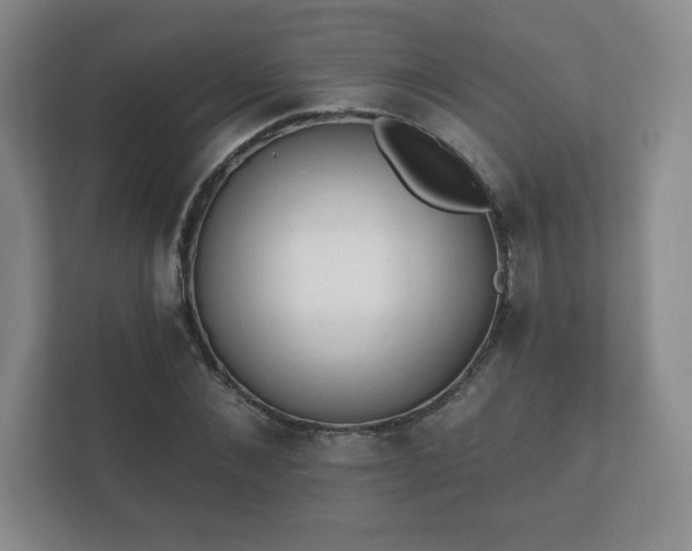 X0000112380876200908201520