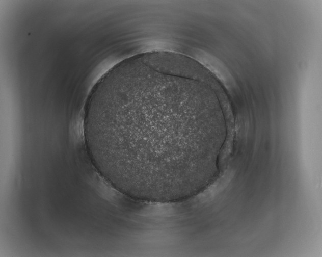 X0000112380877200908201520