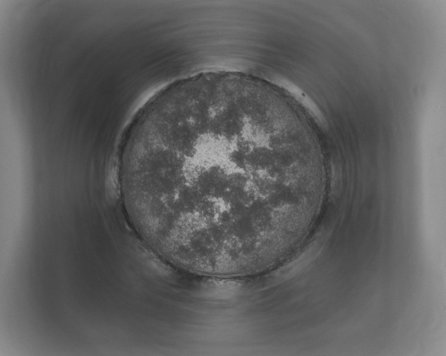 X0000112380878200908201520