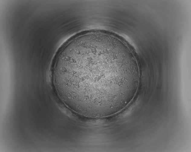 X0000112380879200908201520