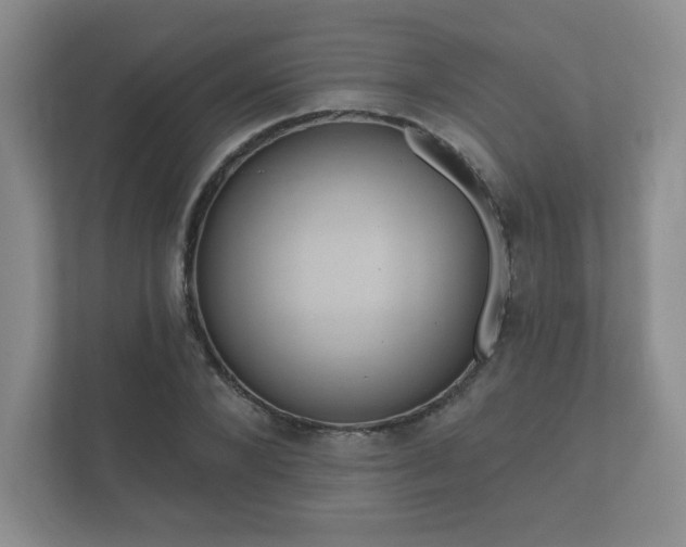 X0000112380880200908201520