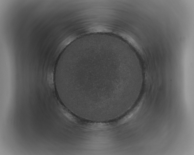 X0000112380881200908201520