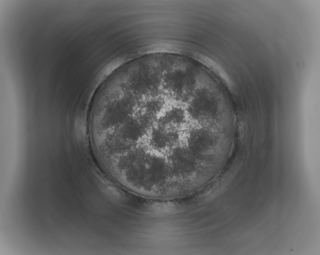 X0000112380882200908201520