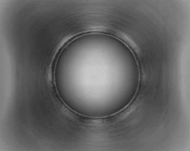 X0000112380883200908201520