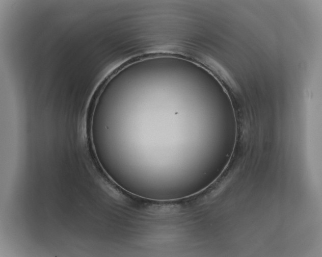 X0000112380884200908201520