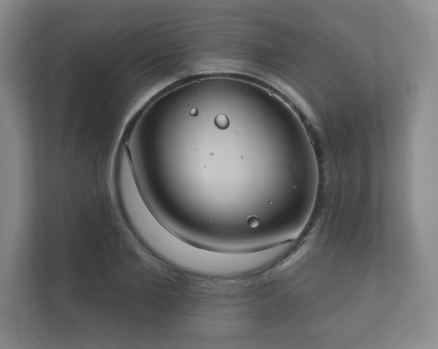 X0000112380885200908201520