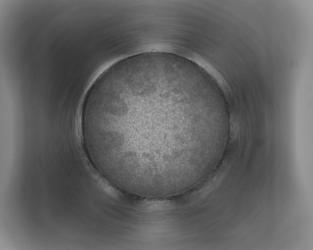 X0000112380886200908201520