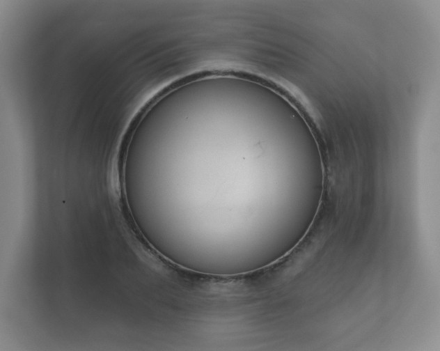 X0000112380887200908201520