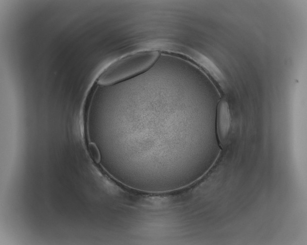 X0000112380888200908201520