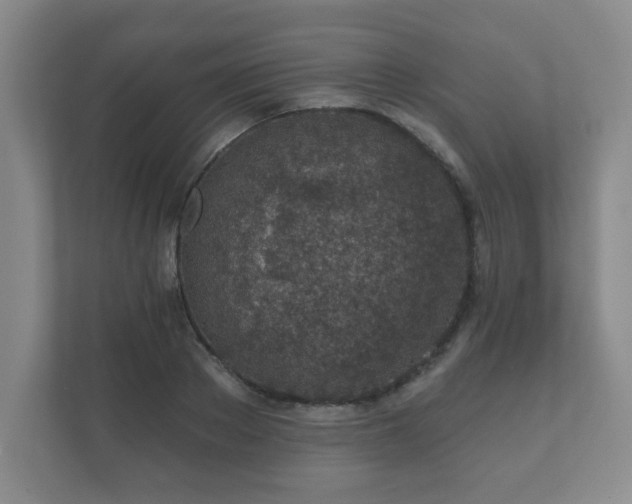 X0000112380889200908201520