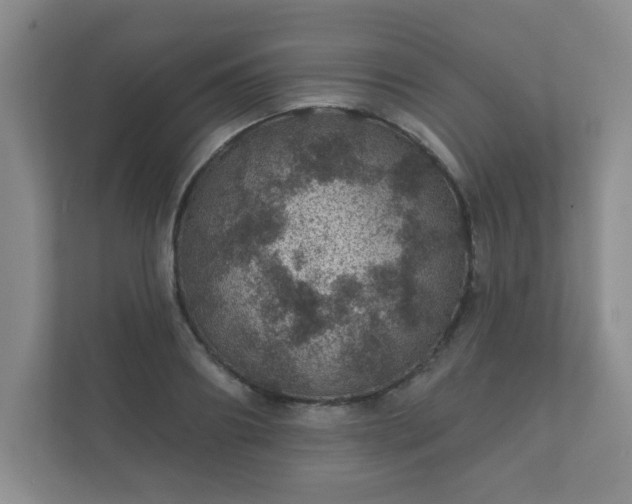 X0000112380890200908201520