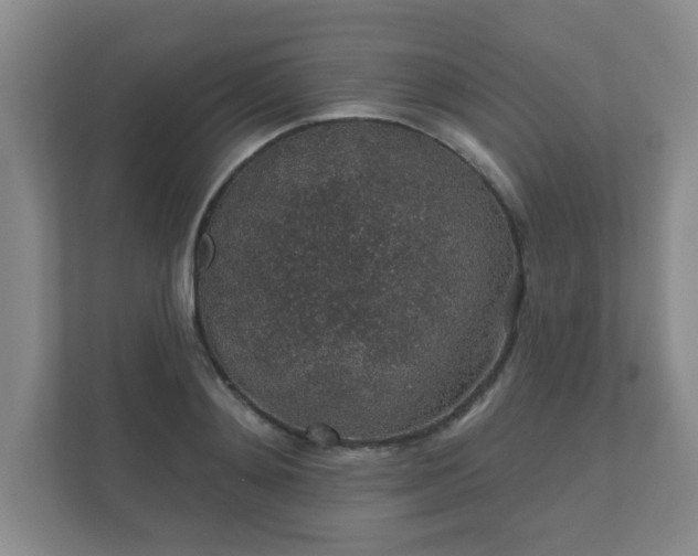 X0000112380892200908201520