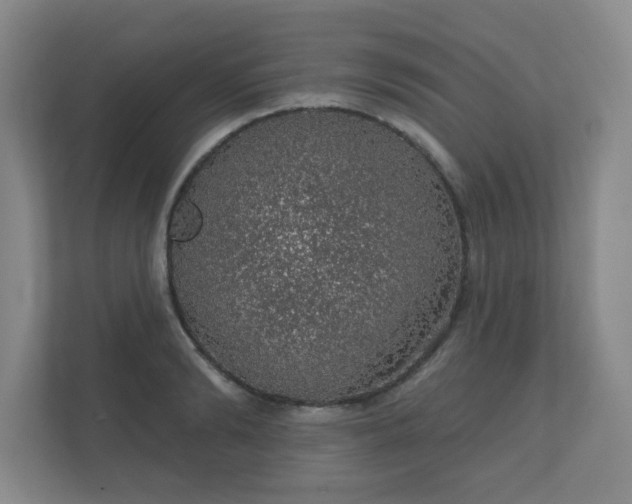 X0000112380894200908201520