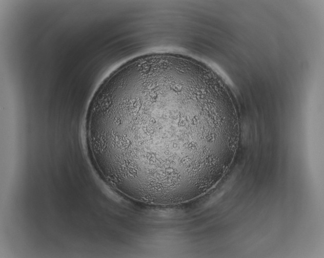 X0000112380895200908201520