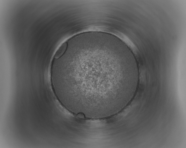 X0000112380896200908201520