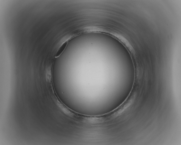 X0000112380897200908201520