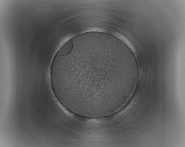 X0000112380898200908201520