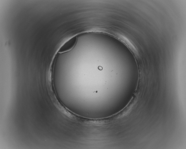 X0000112380900200908201520