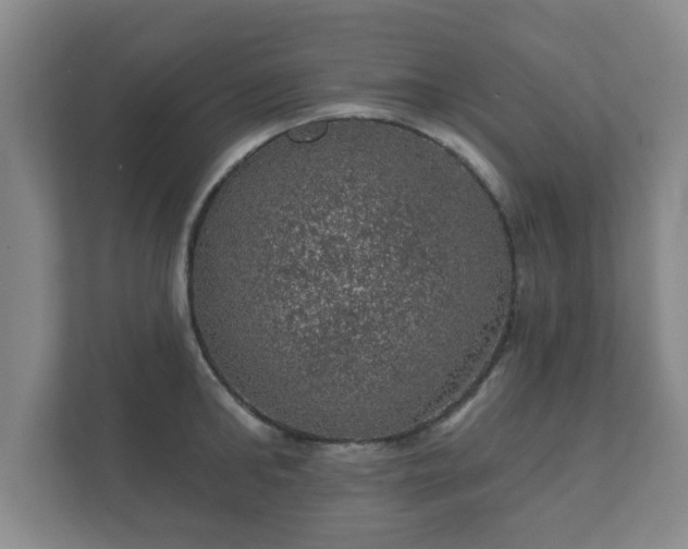 X0000112380902200908201520