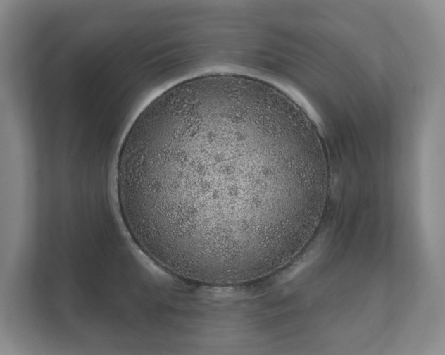 X0000112380903200908201520