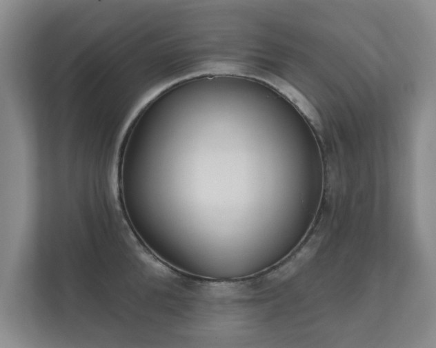 X0000112380904200908201520