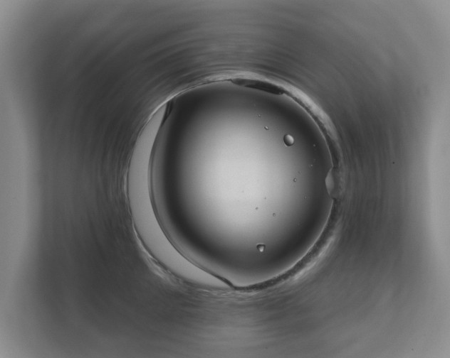 X0000112380905200908201520