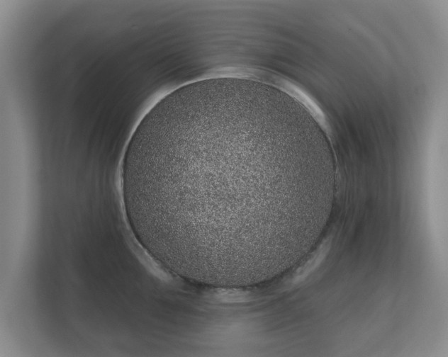 X0000112380907200908201520