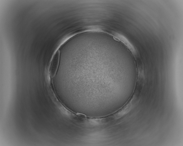 X0000112380908200908201520