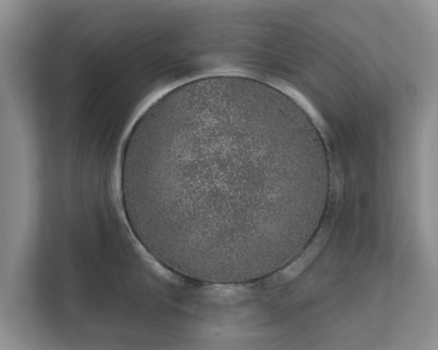 X0000112380910200908201520