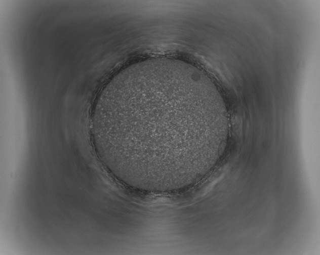 X0000112380913200908201519