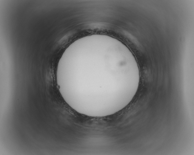 X0000112380918200908201519